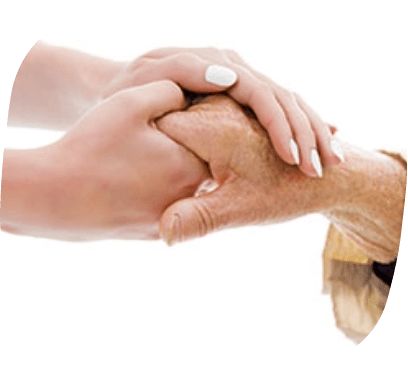 Pacientes o participantes